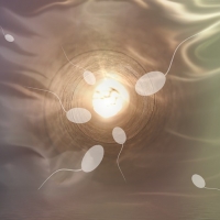 sperm-806391_640 sperm-806391_640