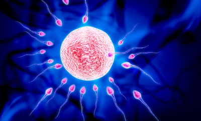 7 astuces pour améliorer la qualité des spermatozoïdes