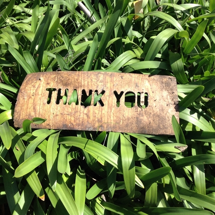 thank-you thank-you