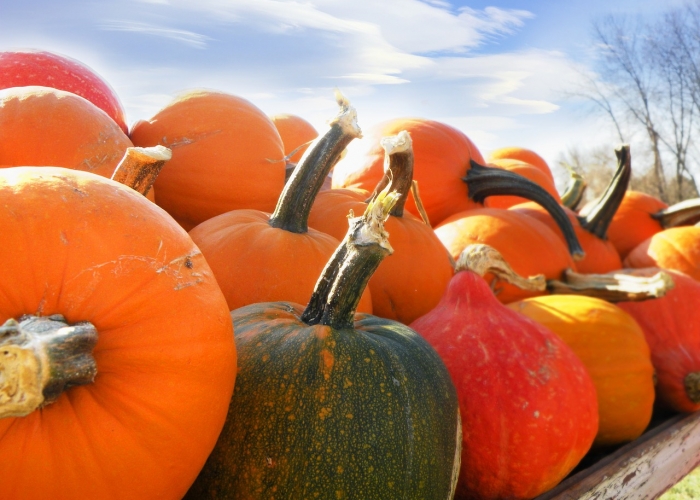 Courge et fertilité