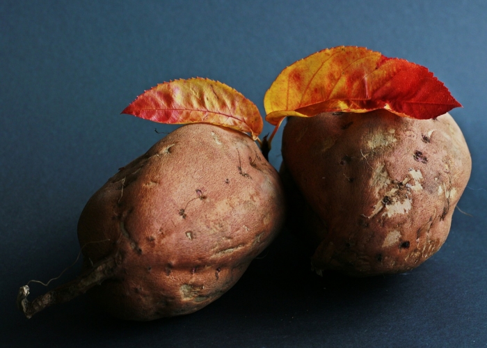 Patate douce et fertilité