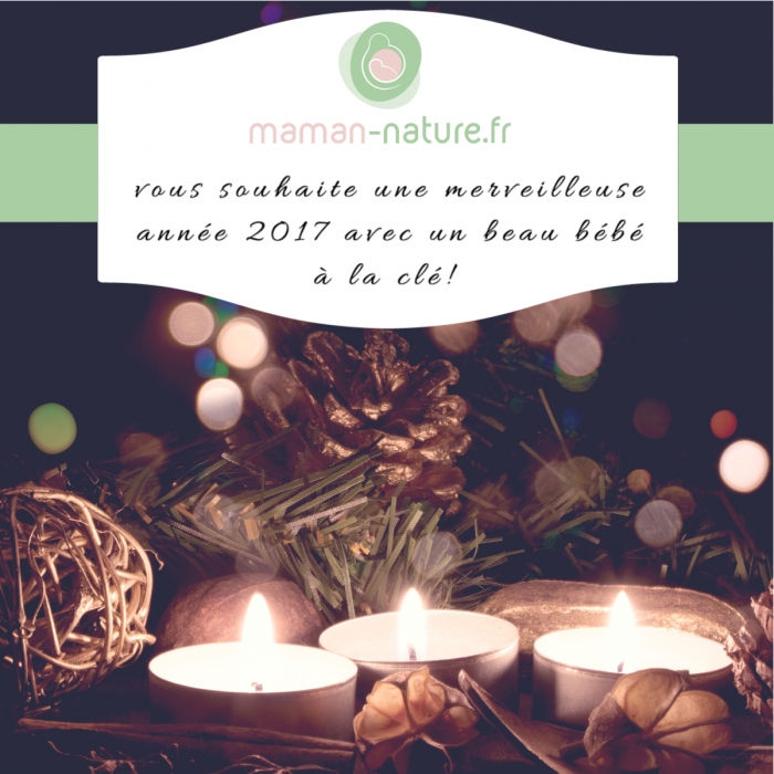 Meilleurs Voeux 2017!