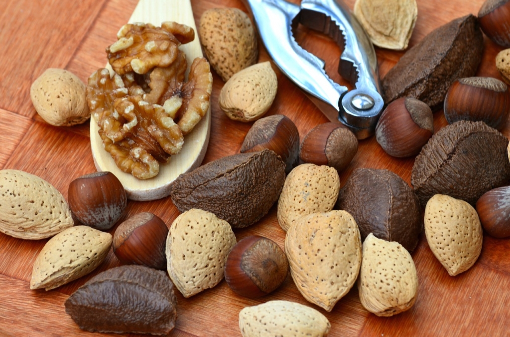 Oleagineux