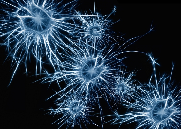 Neurones et iode